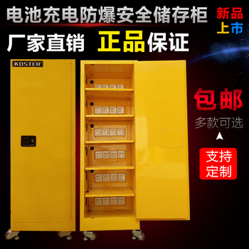 锂电池充电防爆柜电池充电防火防爆安全储存柜