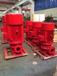 揚程50米水箱間穩壓泵XBD5.0/40-125mm口徑立式消防噴淋泵圖片4