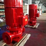 扬程50米水箱间稳压泵XBD5.0/40-125mm口径立式消防喷淋泵图片2