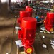 扬程50米水箱间稳压泵XBD5.0/40-125mm口径立式消防喷淋泵