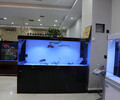 濮陽魚缸廠家定制超白玻璃魚缸批發加盟代理