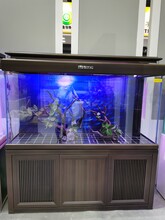 新密成品鱼缸超白玻璃水族箱鱼缸批发图片