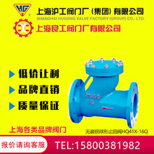 上海沪工良工精工冠龙标一球形止回阀HQ41X-16QDN50图片