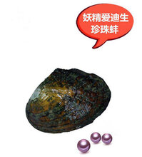 珍珠活蚌可自己动手开自家养殖天然淡水珍珠河蚌多珠混色鲜活图片