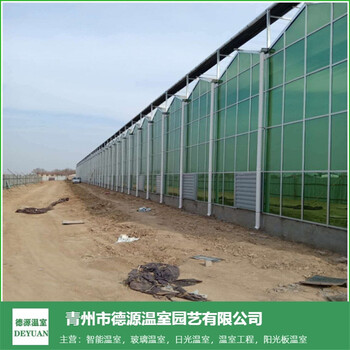 玻璃溫室大棚--智能連棟玻璃溫室造價(jià)--玻璃育苗溫室大棚