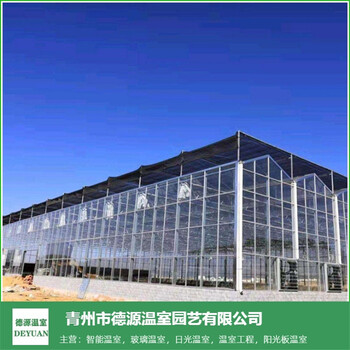 玻璃温室大棚温室安装建设连栋温室厂家