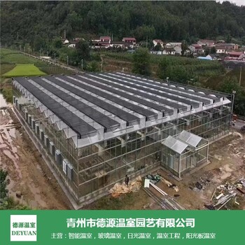 青州德源-文洛式花卉玻璃溫室質(zhì)量-簡(jiǎn)易花卉溫室骨架建造