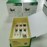3型前胶原肽(PⅢNP)品牌ELISA检测试剂盒图片0