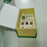 信誉大鼠血栓前体蛋白(TpP)动物ELISA试剂盒图片2