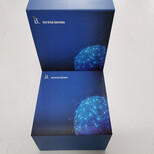 CD63分子(CD63)品牌ELISA检测试剂盒图片1