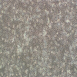 兔输尿管平滑肌细胞图片0