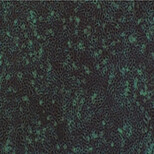 兔输尿管平滑肌细胞图片2