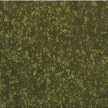 兔骨骼肌成纤维细胞图片1