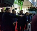 2017第六届中国郑州国际花卉园艺展规模盛大