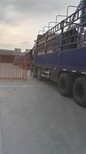 宁波到福建长乐物流公司电话图片0