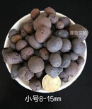 三门峡陶粒品质保障价格优惠厂家图片4