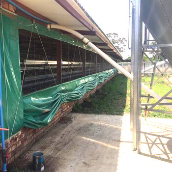 广东帆布厂批发防水雨布绿色遮阳耐磨盖货雨布定做
