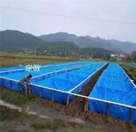 供应杭州户外室内养殖蓄水池-家庭养殖帆布鱼池-专业定做帆布水池