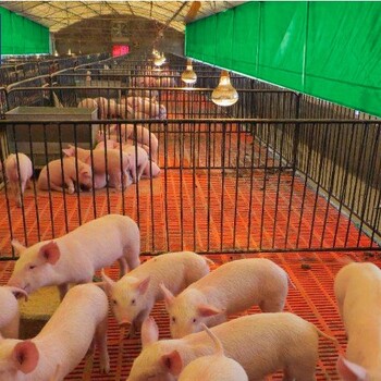 鸡场卷帘布养殖设备厂家PVC卷帘布定制猪场保温防寒窗帘布