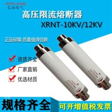 高压熔断器(SDLAJ)XRNT-12KV/50A63A80A100A变压器用保险管图片