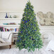 圣誕樹圣誕裝飾品帶LED燈4英尺6英尺9英尺人造松樹出口美國生產廠家