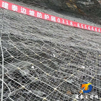 主動邊坡防護(hù)網(wǎng)