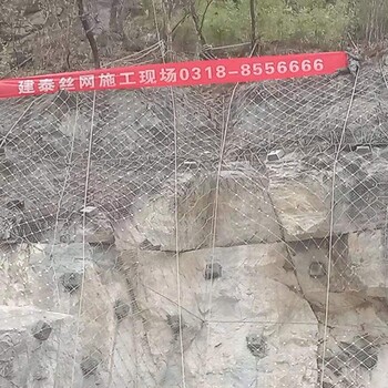 重庆山坡防护网