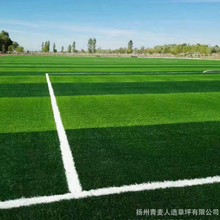 江苏足球场草坪