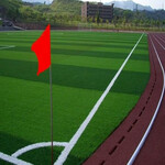 深圳运动草坪施工-校园球场草坪铺设-足球草铺装工程