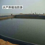 水产养殖防渗土工膜藕池龙虾养殖防渗土工膜图片1