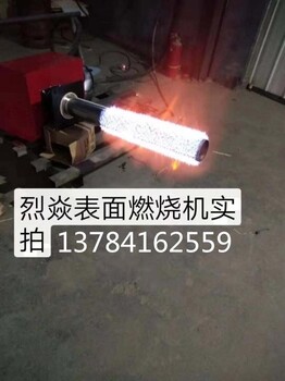 沧州燃烧机厂家生产销售表面燃烧燃烧机表面燃烧器