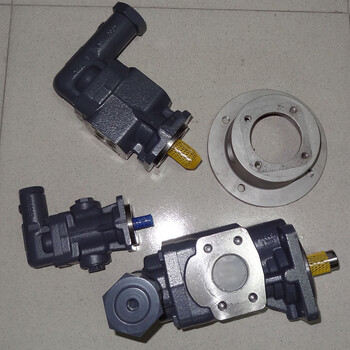 循环泵KF16LG12-D25渣油输送泵齿轮泵
