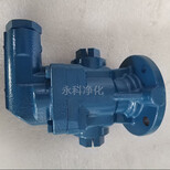 DK-12-RF-D15齿轮泵液压油泵电动输油泵循环泵图片4
