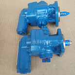 DK-12-RF-D15齿轮泵液压油泵电动输油泵循环泵图片0
