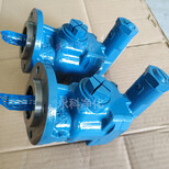 KF10RF1-D15齿轮泵机油润滑油输送泵输油泵图片2