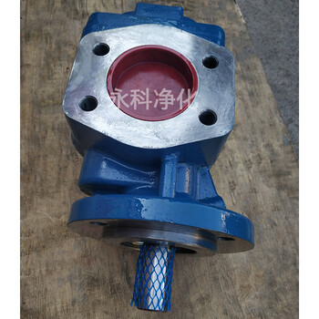 KF200LF1-D15齿轮泵油漆涂料输送泵循环泵输油泵
