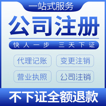 沙田办理公司营业执照代理记账报税