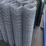 博才镀锌钢丝网养殖防护网圈地围栏网镀锌拧花网生产厂家