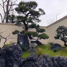 黑山石批发，日式枯山水庭院，日式庭院造景