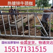 牛颈枷批发厂家图片