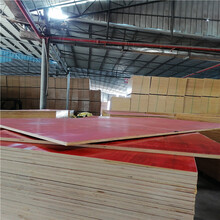 广西建筑模板厂家，四川建筑模板小红板批发