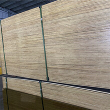 广西桉木建筑模板，清水模板