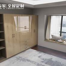 传家全屋定制现代简约衣柜过层板图片