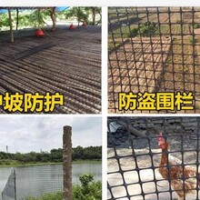 双向塑料土工格栅20KN甘肃定西养殖网双向土工格栅