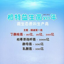 100亿含量的丁酸梭菌原料，兽药、渔药、饲料均可用