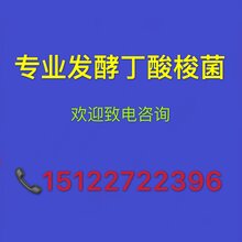 微生态制剂发酵丁酸梭菌饲料添加剂,正规厂家欢迎参观图片