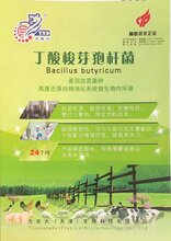畜禽专用丁酸梭菌,100亿含量丁酸梭菌饲料添加剂图片