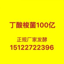 猪牛羊专用饲料添加剂丁酸梭菌原料100亿含量现货图片