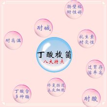 专业发酵丁酸梭菌厂家,100亿丁酸梭菌饲料添加剂图片