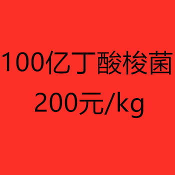 丁酸梭菌原料厂家发酵，水产，畜禽，宠物可用饲料添加剂